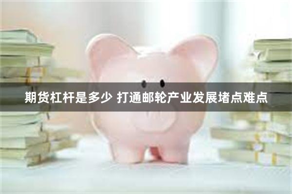 期货杠杆是多少 打通邮轮产业发展堵点难点