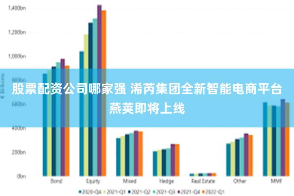 股票配资公司哪家强 浠芮集团全新智能电商平台燕荚即将上线