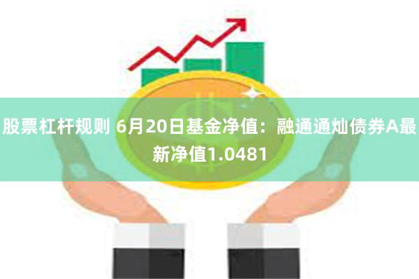 股票杠杆规则 6月20日基金净值：融通通灿债券A最新净值1.0481