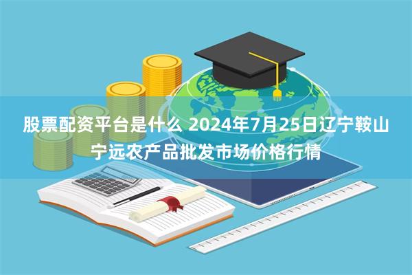 股票配资平台是什么 2024年7月25日辽宁鞍山宁远农产品批发市场价格行情