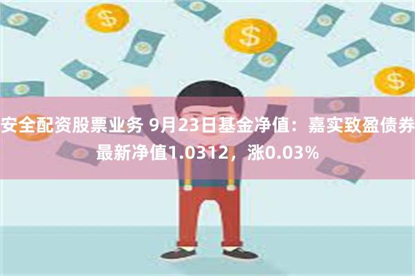 安全配资股票业务 9月23日基金净值：嘉实致盈债券最新净值1.0312，涨0.03%