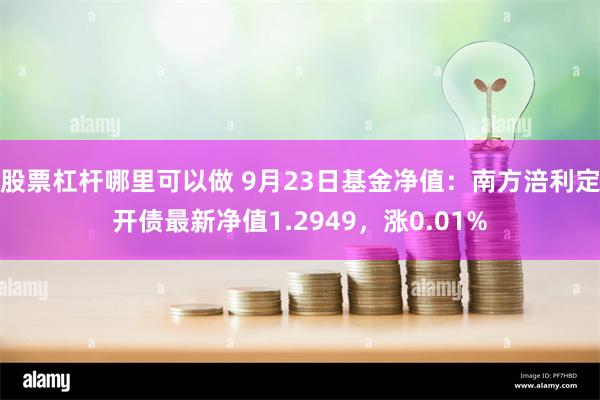 股票杠杆哪里可以做 9月23日基金净值：南方涪利定开债最新净值1.2949，涨0.01%