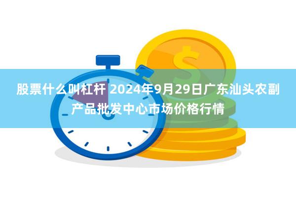 股票什么叫杠杆 2024年9月29日广东汕头农副产品批发中心市场价格行情