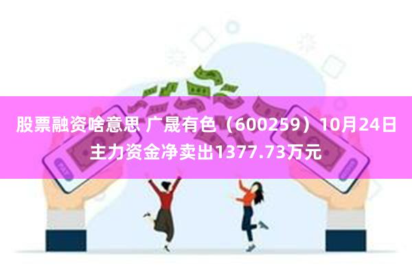 股票融资啥意思 广晟有色（600259）10月24日主力资金净卖出1377.73万元