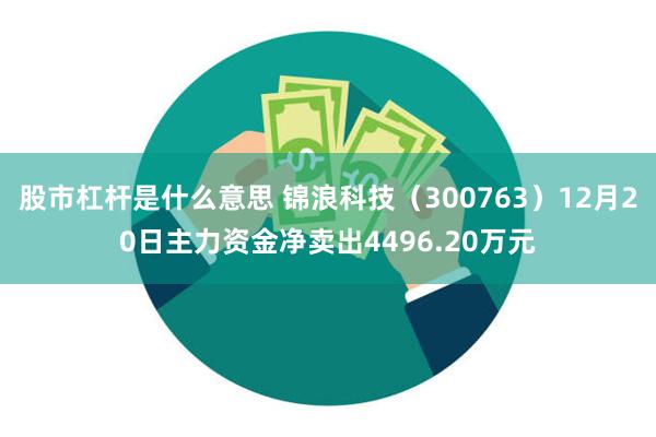 股市杠杆是什么意思 锦浪科技（300763）12月20日主力资金净卖出4496.20万元