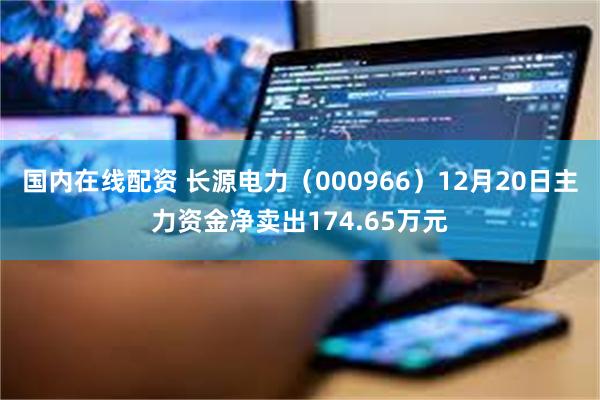 国内在线配资 长源电力（000966）12月20日主力资金净卖出174.65万元