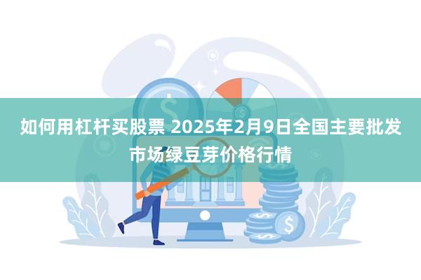 如何用杠杆买股票 2025年2月9日全国主要批发市场绿豆芽价格行情