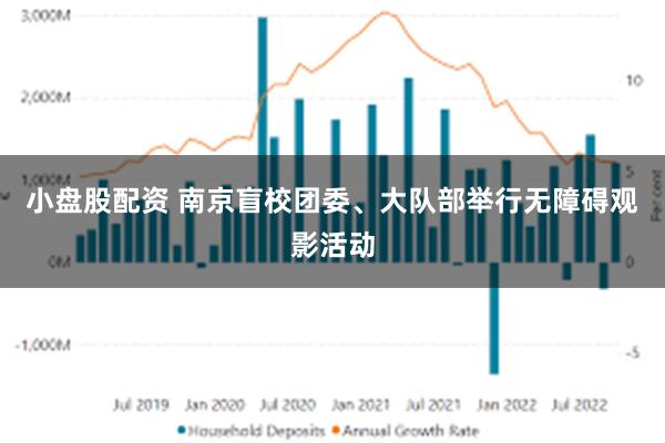 小盘股配资 南京盲校团委、大队部举行无障碍观影活动